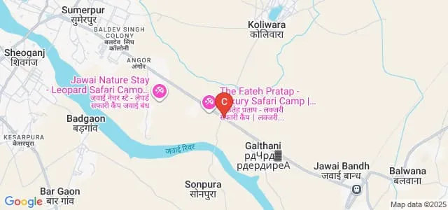CLG Pharmacy College, Pali Map