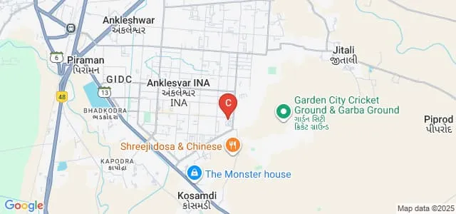 Footwear Design and Development Institute, Ankleshwar Map