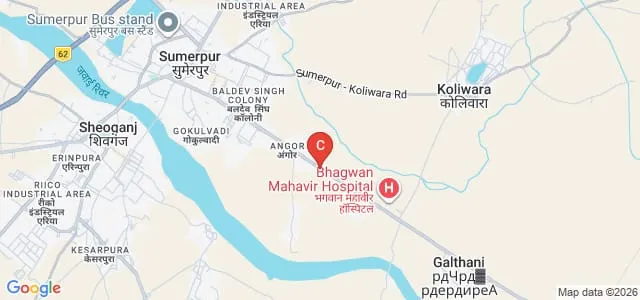 Vibrant Pharmacy College, Pali Map