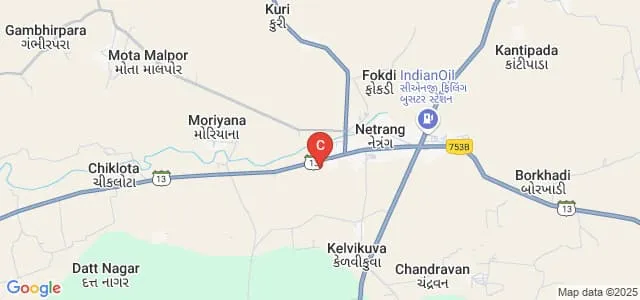 Government Arts and Commerce College, Netrang Map