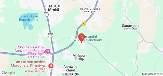 Patel College of Management, Indore Map