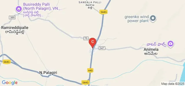 VRS Degree College, Veerapunayunipalle Map