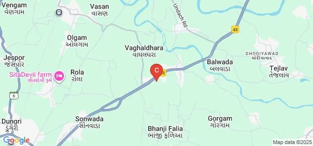 Shree RMD Ayurved College and Hospital, Waghaldhara Map