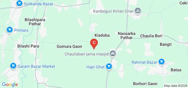 Bhawanipur Hastinapur Bijni College, Barpeta Map