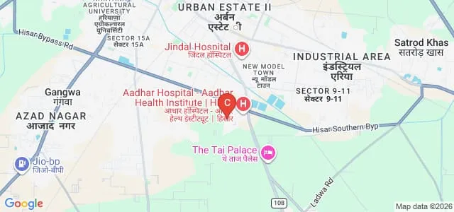 Imperial PG College, Hisar Map