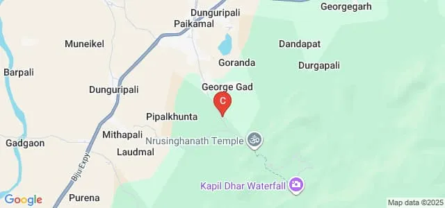Sri Sri Nrusinghnath Ayurved College and Research Institute, Bargarh Map