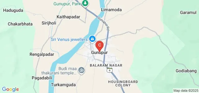 Balaji Institute of Technology and Science Polytechnic, Rayagada Map