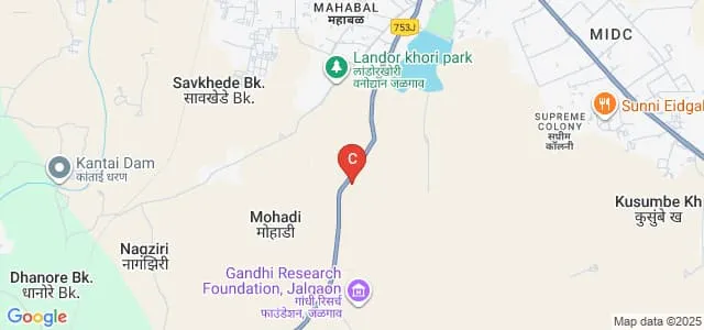 GH Raisoni College of Engineering and Management, Jalgaon Map