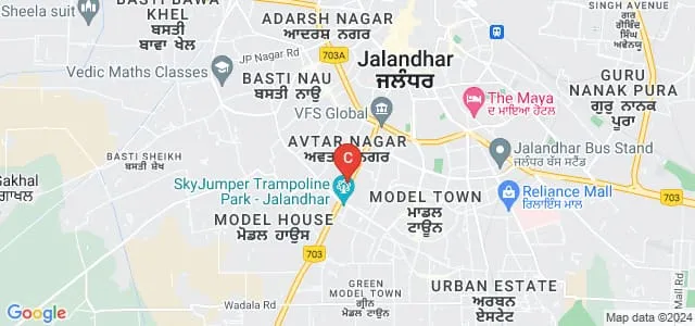 Government Institute of Leather and Footwear Technology, Jalandhar Map