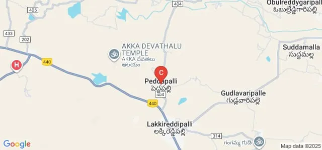 Vasavi Institute of Management and Computer Science, Pedda Palli Map