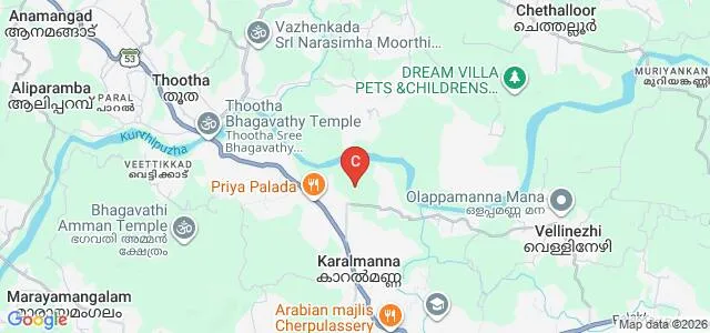Cherpulassery College of Science and Technology for Women, Palakkad Map