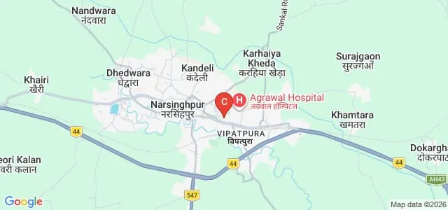 SSN MIMT College, Narsinghpur Map
