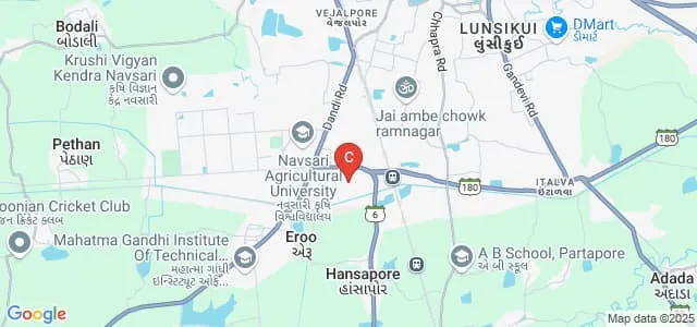 Naran Lala College of Professional and Applied Sciences, Navsari Map