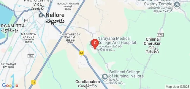 Narayana College of Nursing, Nellore Map