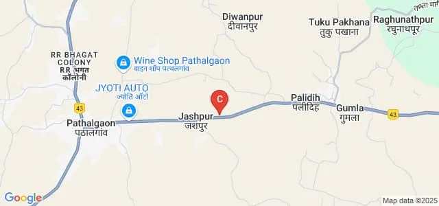 Thakur Shobha Singh Government College, Pathalgaon Map