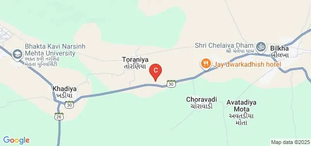 Amrut Institute, Junagadh Map