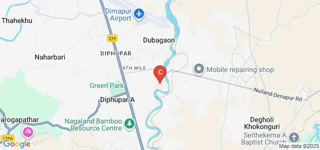 College of Nursing, Christian Institute of Health Sciences and Research, Dimapur Map