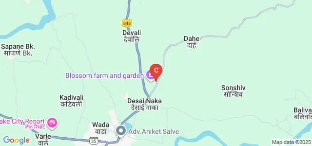Wada College of Management and Science, Wada Map