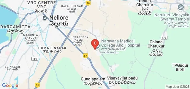 Narayana College of Physiotherapy, Nellore Map