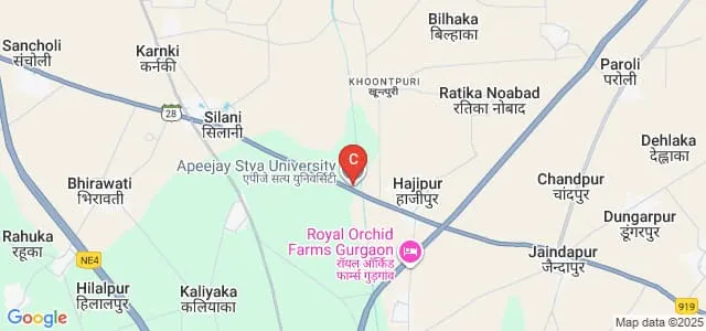 School of Pharmaceutical Sciences Apeejay Stya University, Sohna Map