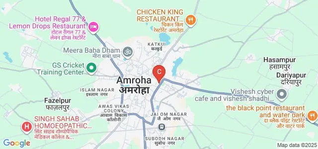 JS Hindu PG College, Amroha Map