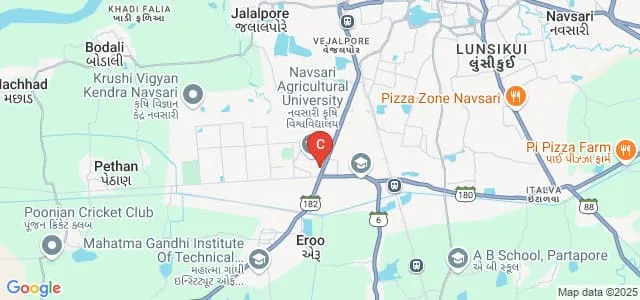 ASPEE Agribusiness Management Institute, Navsari Map