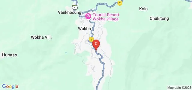 Mount Tiyi Government College, Wokha Map
