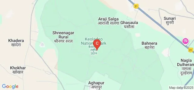 Poddar College, Bharatpur Map