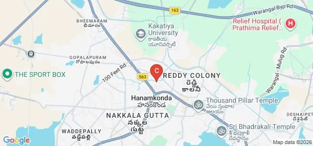 Chaitanya University, Hanamkonda Map