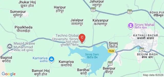Techno Global University, Sironj Map