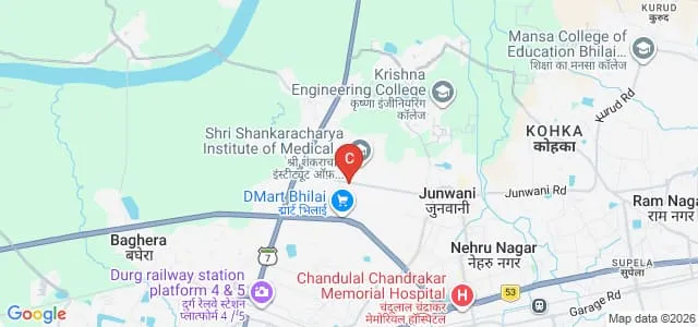 Shri Shankaracharya Professional University, Bhilai Map
