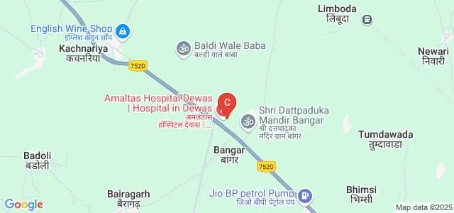 Amaltas University, Dewas Map