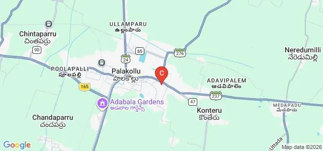 Sri ASNM Government College, Palakol Map