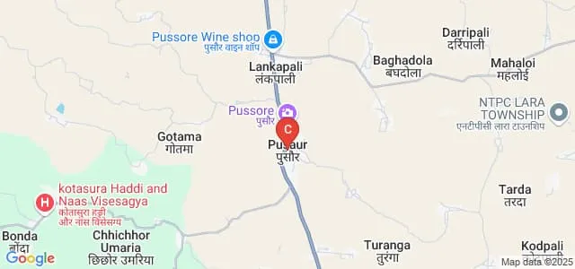 Vishnu Charan Gupta Government College, Pussore Map