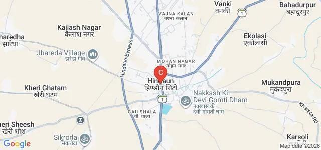 Sourabh College of Naturopathy and Yogic Science, Karauli Map