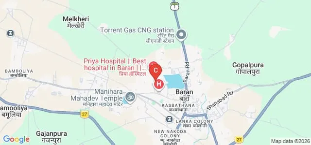 Government College, Baran Map