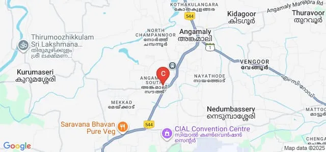 De Paul Institute of Science and Technology, Angamaly Map
