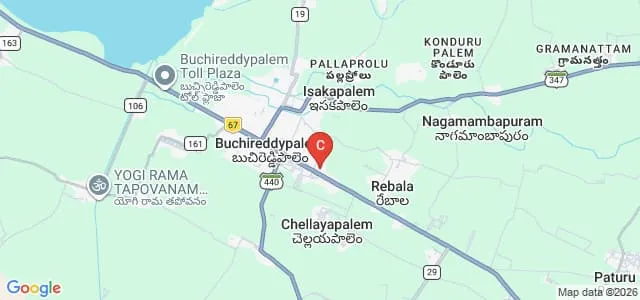 St Mary's College of Education, Nellore Map
