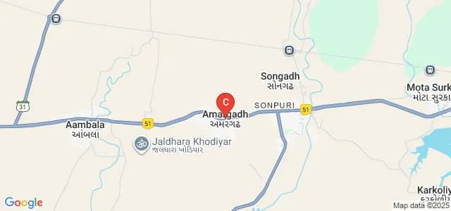 College of Dental Sciences and Hospital, Amargadh Map
