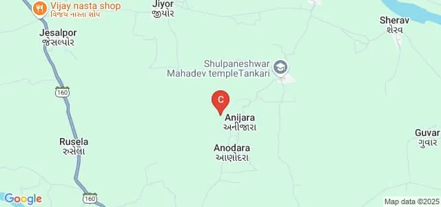 Shree Narmada MSW College, Mangrol Map