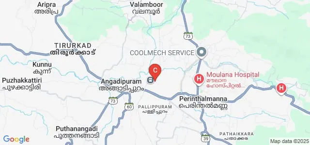 Moulana College of Paramedical Sciences, Malappuram Map