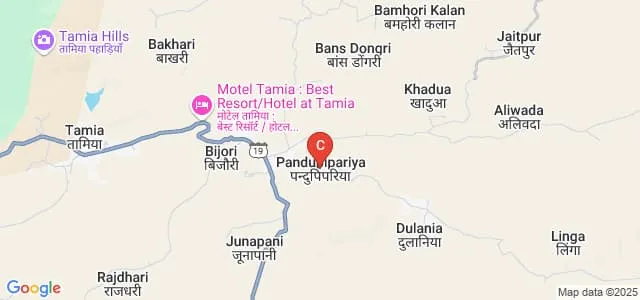 Veer Narayan Mahavidyalaya, Pandu Pipariya Map