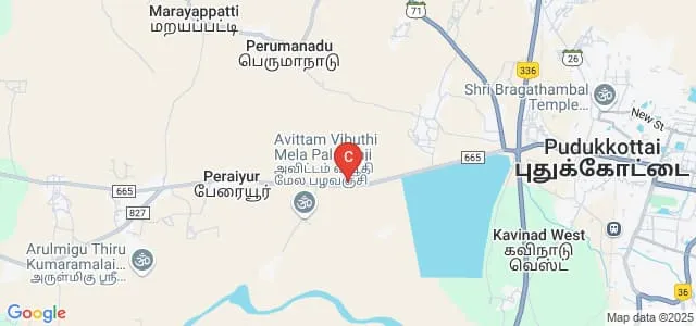 Sudharsan College of Arts and Science, Pudukkottai Map