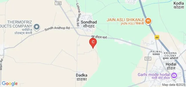AERP Institute of Technology and Management, Palwal Map