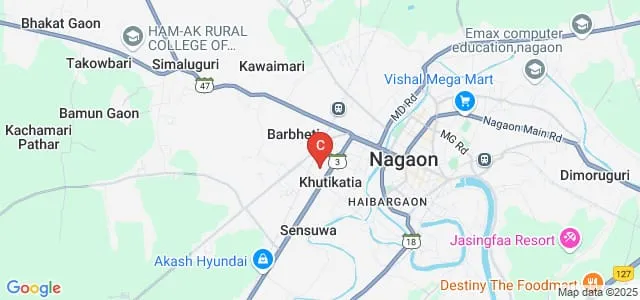 Assam Homoeopathic Medical College and Hospital, Nagaon Map
