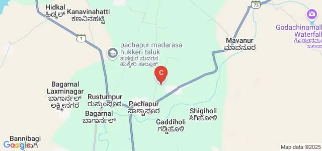 Government First Grade College, Paschapur Map