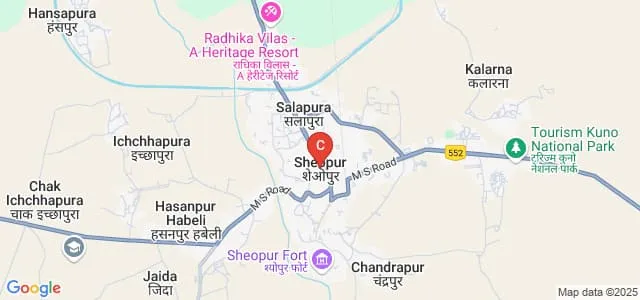 Government College, Sheopur Map