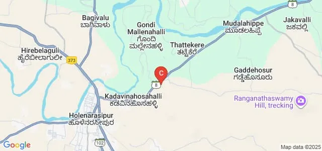 Government Polytechnic, Holenarasipura Map