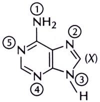 Basics of Organic Reaction Mechanism mcq question image