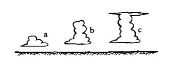 Environmental Science mcq question image
